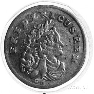 6 groszy 1704, Królewiec, Aw: Popiersie, poniżej litery...