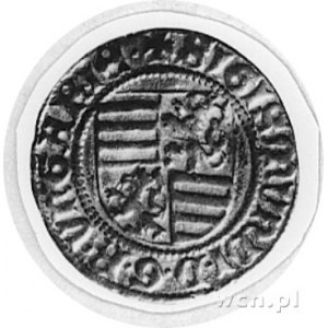 Zygmunt 1387-1437, goldgulden, Aw: Tarcza herbowa, w ot...