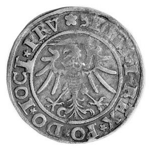 grosz 1534, Elbląg, Aw: Orzeł Prus Królewskich i napis,...