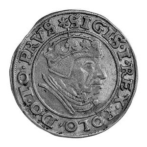 grosz 1539, Gdańsk, j.w., Gum. 565, Kurp. 482 R