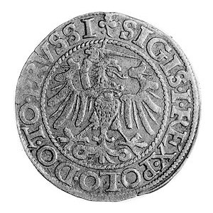 grosz 1540, Elbląg, Aw: Orzeł Prus Królewskich (ręka z ...