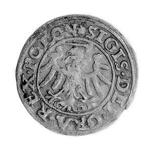 szeląg 1546, Gdańsk, j.w., Gum. 555, Kurp. 435 R.