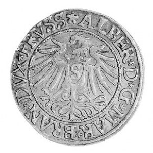 grosz 1537, Królewiec, Aw: Popiersie i napis, Rw: Orzeł...
