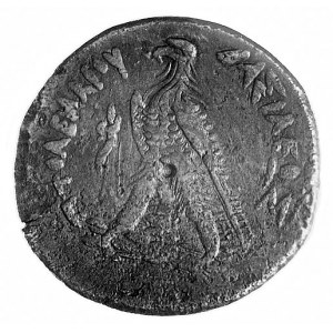 Egipt- Ptolemeusz III Euergetes 246-221, AE-41, Aw: Gło...