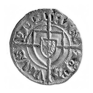 Paweł von Russdorf 1422-1441, szeląg, Aw: Tarcza Wielki...