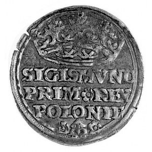 grosz 1528, Kraków, j.w., Gum. 483, Kurp. 47 R, ładna s...