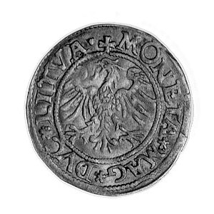 półgrosz 1545, Wilno, j.w., odmienna interpunkcja, Gum....