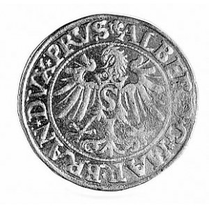 grosz 1534, Królewiec, Aw: Popiersie i napis, Rw: Orzeł...