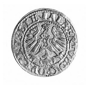 szeląg 1560, Królewiec, j.w., Bahr. 1228, Neumann 48.