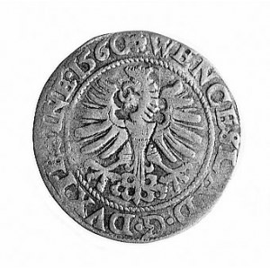 grosz 1560, j.w., litery większe, średnica monety mniej...