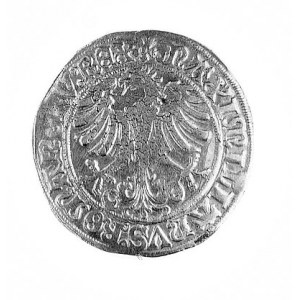 batzen bez daty z tytulaturą cesarza Maksymiliana (1493...