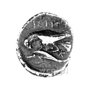 Istros- kolonia Miletu, drachma 350 pne, Aw: Dwie głowy...