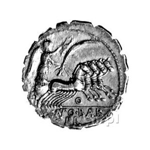 denar- Q. Antonius Balbus 83-82 pne, Aw: Głowa Jowisza ...