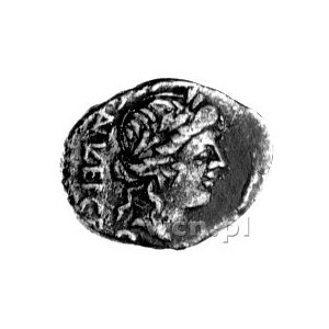 kwinar- C. Egnatuleius C. f. 97 pne, Aw: Głowa Apolla w...