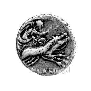 denar- L. Flaminus Chilo 109-108 pne, Aw: Głowa`Romy w ...