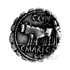 denar- C. Marius C.f. Capito 81 pne, Aw: Głowa Ceres w ...