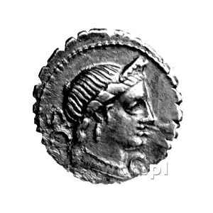 denar- L. Mussidus Longus 42 pne, Aw: Głowa Wenus w pra...