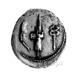 denar- C. Norbanus około 83 pne, Aw: Głowa Wenus w diad...