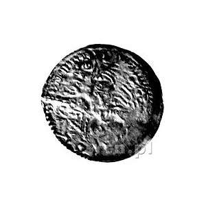 denar 1173-1185/1190 ew. 1177-1185/1190, mennica Wrocła...