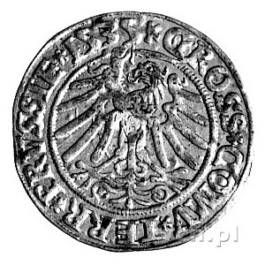 grosz dla ziem pruskich 1535, Toruń, Kurp. 342 R, Gum. ...
