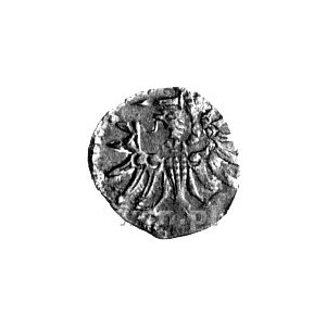 denar 1554, Gdańsk, Kurp. 925 R3, Gum. 640, T. 8.