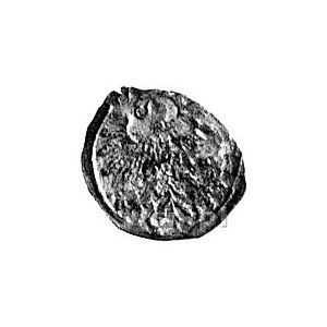 denar 1559, Wilno, moneta dwa razy uderzona stemplem-po...