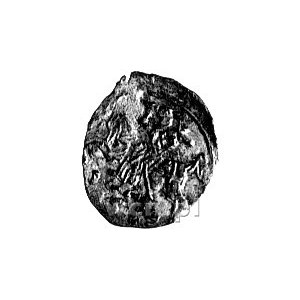 denar 1559, Wilno, moneta dwa razy uderzona stemplem-po...