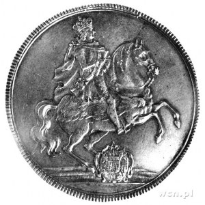 talar wikariacki 1711, Drezno, król na koniu, Schnee 10...