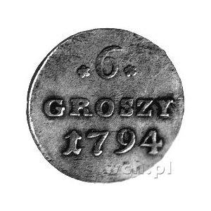 6 groszy 1794, Warszawa, Plage 207.