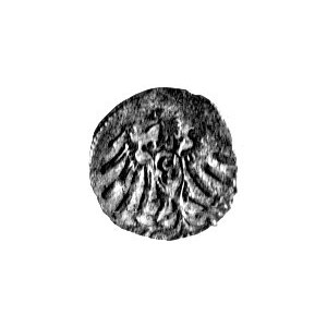 denar 1563, Królewiec, Bahr. 1230, Neumann 49, rzadki.