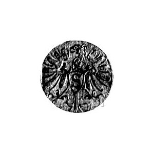 denar 1571, Królewiec, nad monogramem dziewięciolistna ...