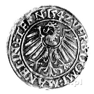 grosz 1542, Legnica, F.u.S. 1352.