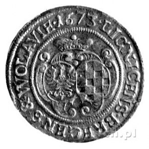 6 krajcarów 1673, Brzeg, literki C-B po bokach Orła, F....