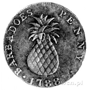 1 pesos 1788, Aw: Ananas, w otoku napis, Rw: Młodzienie...
