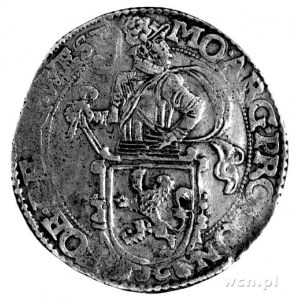 talar lewkowy 1650, West Friesland, Aw: Rycerz, Rw: Lew...