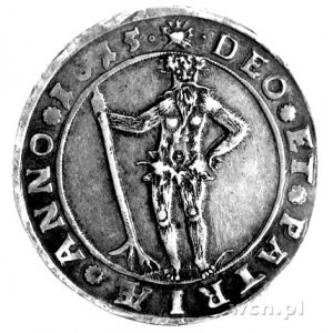 Fryderyk Ulryk 1613 - 1634, półtalar 1615, Aw: Tarcza h...