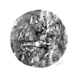 denar, Aw: Krzyż i głowa, Rw: Głowa (?), Dbg. 1607, pęk...