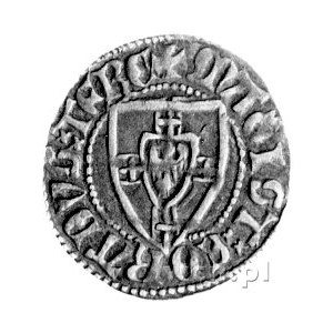 Konrad III von Jungingen 1393- 1407, szeląg, Aw: Tarcza...
