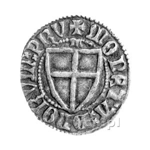 Konrad III von Jungingen 1393- 1407, szeląg, Aw: Tarcza...