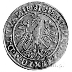 grosz 1535, Wilno, na awersie i rewersie litery N są od...