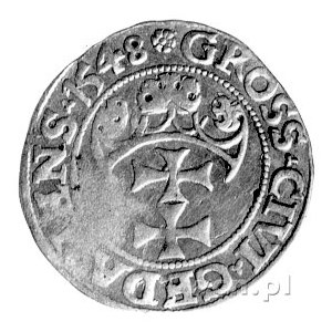 grosz 1548, Gdańsk, Kurp. 491 R7, H-Cz. 5657 R7, T.40, ...