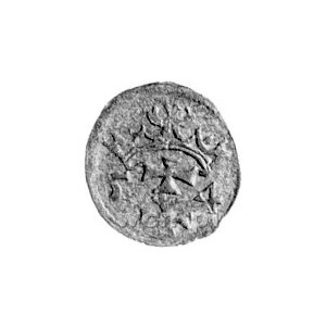 denar 1554, Gdańsk, Kurp. 925 R3, Gum. 640, T.8.