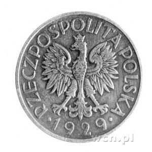 1 złoty 1929, Parchimowicz P-129 a, wybito 12 sztuk, br...