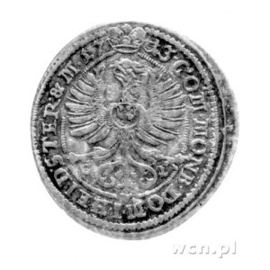 6 krajcarów 1713, Oleśnica, F.u S. 2464.