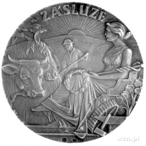 Opawa- Czeski Śląsk- medal nagrodowy Śląskiego Towarzys...