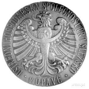 Opawa- Czeski Śląsk- medal nagrodowy Śląskiego Towarzys...
