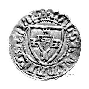 Winrych von Kniprode 1351- 1382, szeląg, Aw: Tarcza Wie...