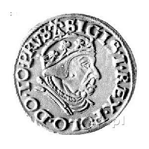 trojak 1539, Gdańsk, Kurp. 521 R1, Gum. 572, korona kró...
