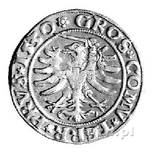 grosz 1530, Toruń, Kurp. 276 R, Gum. 526, ręka z miecze...