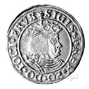 grosz 1530, Toruń, Kurp. 282 R1, Gum. 526, ręka z miecz...